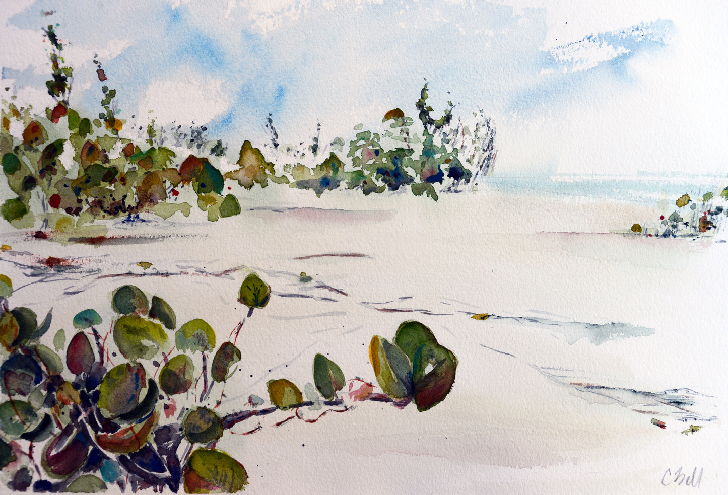 Barrier Beach, 12 x 18 inch Original Watercolor Painting