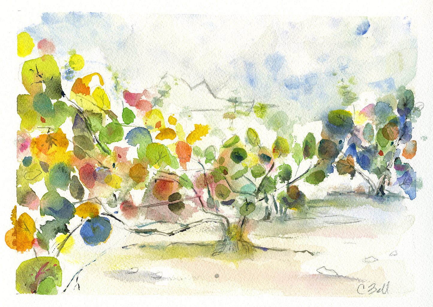 Sea Grapes, 9x12 inch Original Watercolor Painting